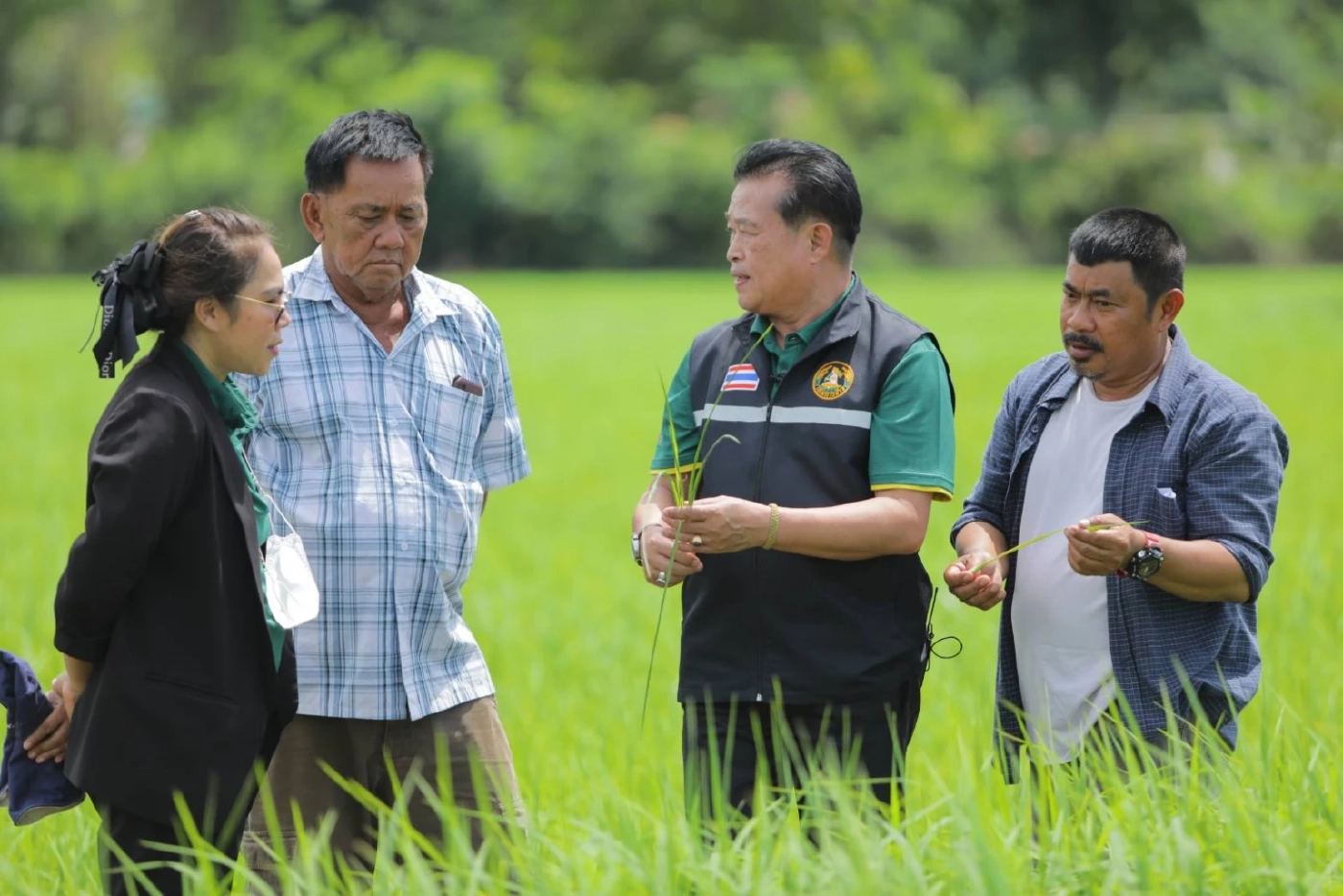 "กรมการข้าว" เดินหน้าส่งเสริมเปลี่ยนเมล็ดพันธุ์ข้าว สู่เกษตรกรทั่วประเทศ