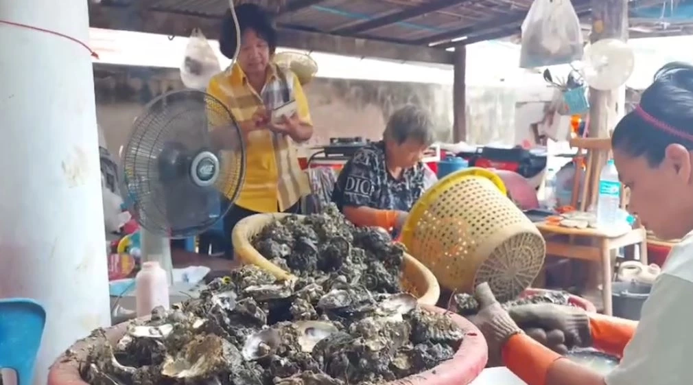 เจ้าของฟาร์มหอยนางรม หวั่นได้รับผลกระทบน้ำมันดิบรั่วลงทะเล