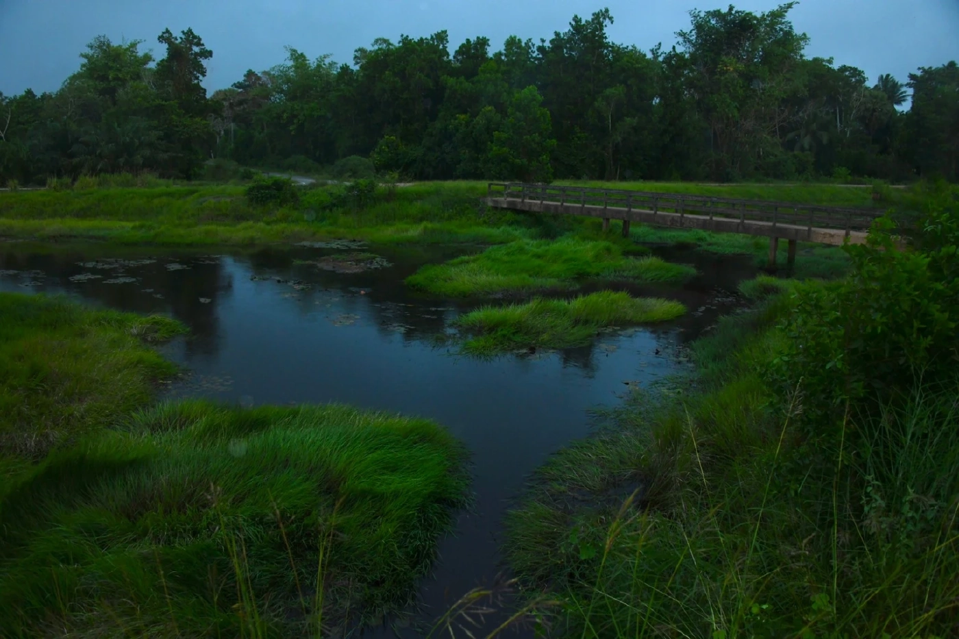 "รมว.ธรรมนัส" ห่วงอุทกภัยพื้นที่ จ.นราธิวาส