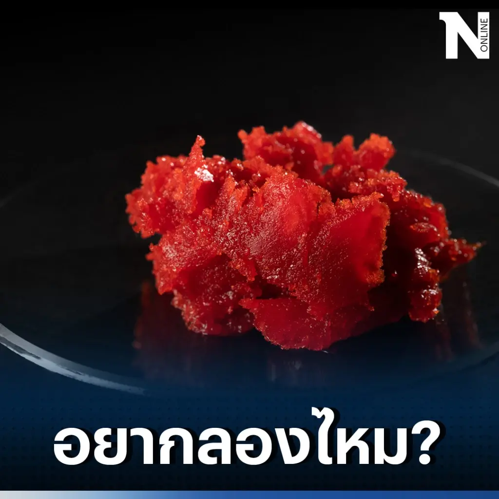 สุดล้ำ เนื้อสัตว์สังเคราะห์ทำจากขี้เลื่อย ลดปัญหาสิ่งแวดล้อม เพื่อโลกวันนี้