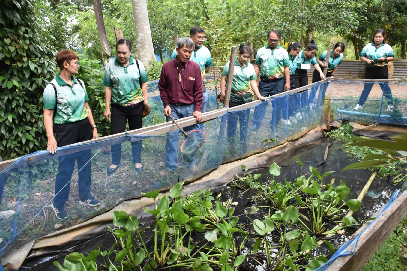 "หอยเป๋าฮื้อน้ำจืด" เลี้ยงง่าย ต้นทุนต่ำ สร้างรายได้งาม