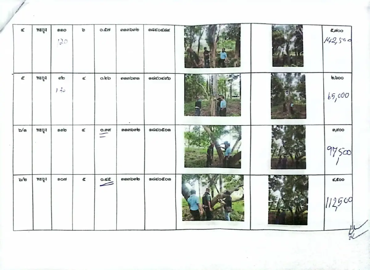 เอกสารการประเมินราคาไม้พะยูง