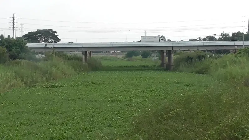 ชาวบ้านโวย "คลองบางแก้ว" เส้นทางระบายน้ำ อ่างทอง - อยุธยา ผักตบชวาแน่นคลอง