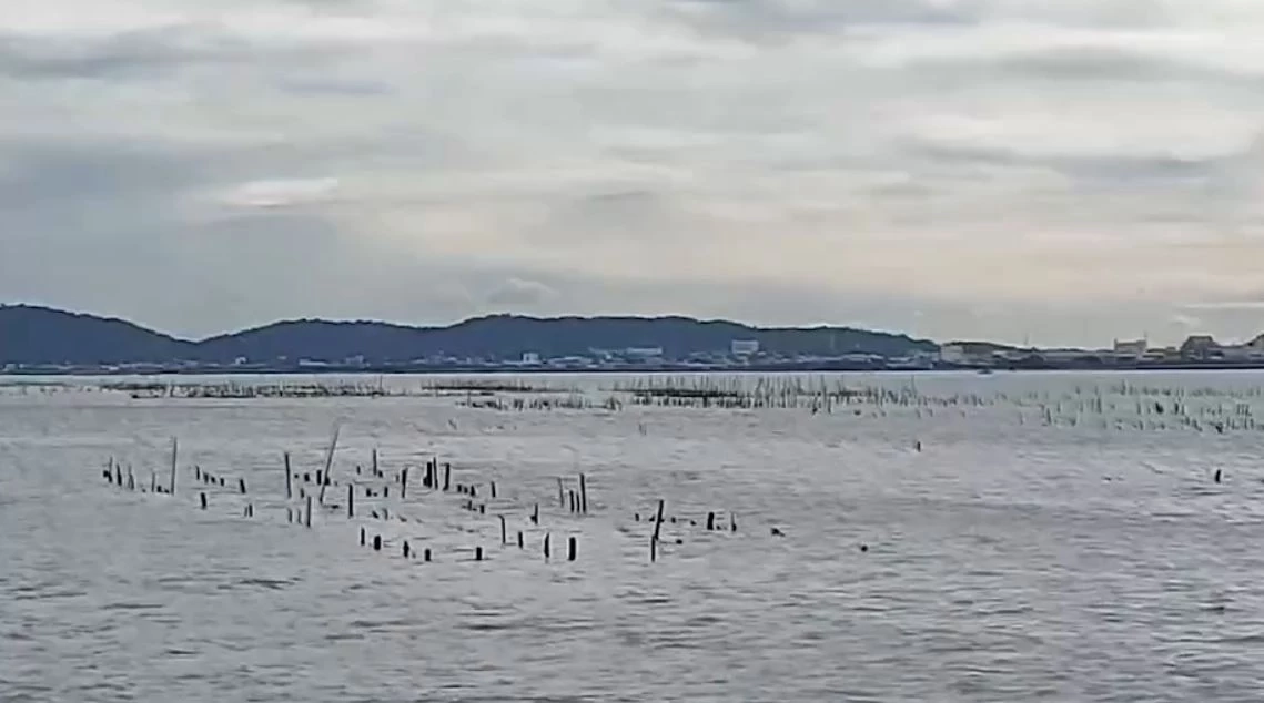 เจ้าของฟาร์มหอยนางรม หวั่นได้รับผลกระทบน้ำมันดิบรั่วลงทะเล