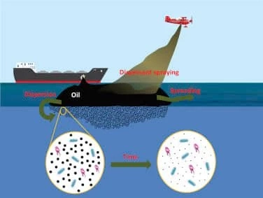 หวั่นน้ำมันรั่ว ส่งผลสิ่งแวดล้อม ห่วงโซ่อาหารมนุษย์ อาหารทะเลมีสารปนเปื้อน