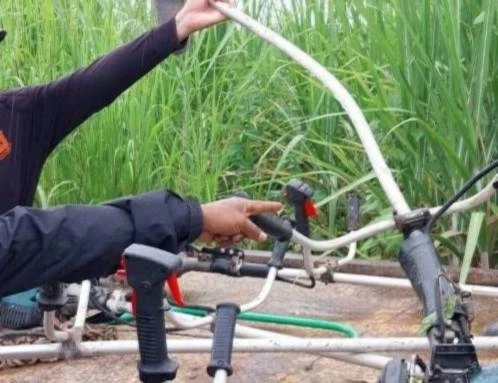 "กระทิงโทน" ป่าทับลาน ออกหากินนอกแนว ขวิดชาวบ้าน เจ็บ 2 ราย