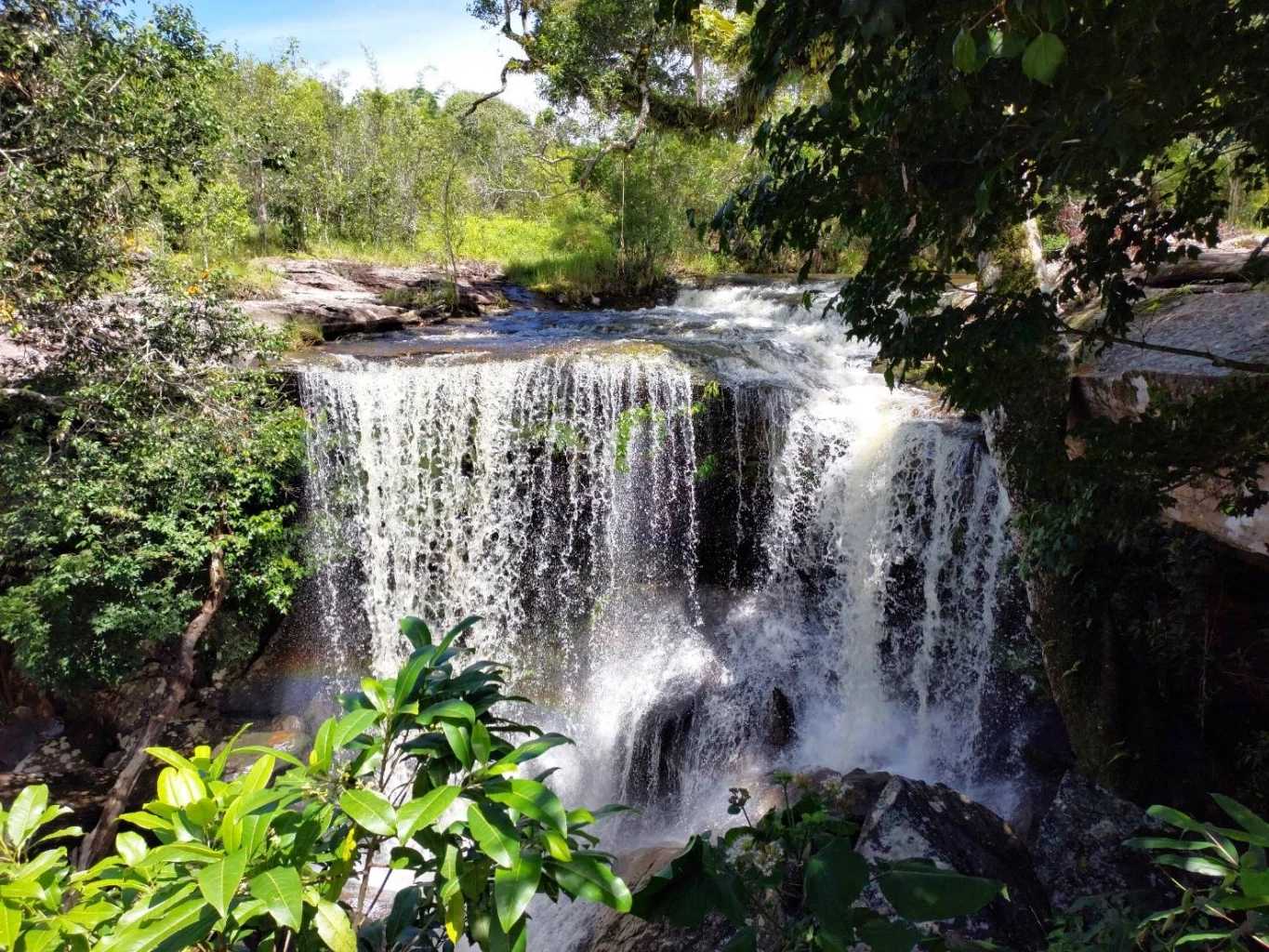สายลุยเตรียมตัว 1 ตุลาคมนี้ "ภูกระดึง" เปิดฤดูกาลท่องเที่ยว