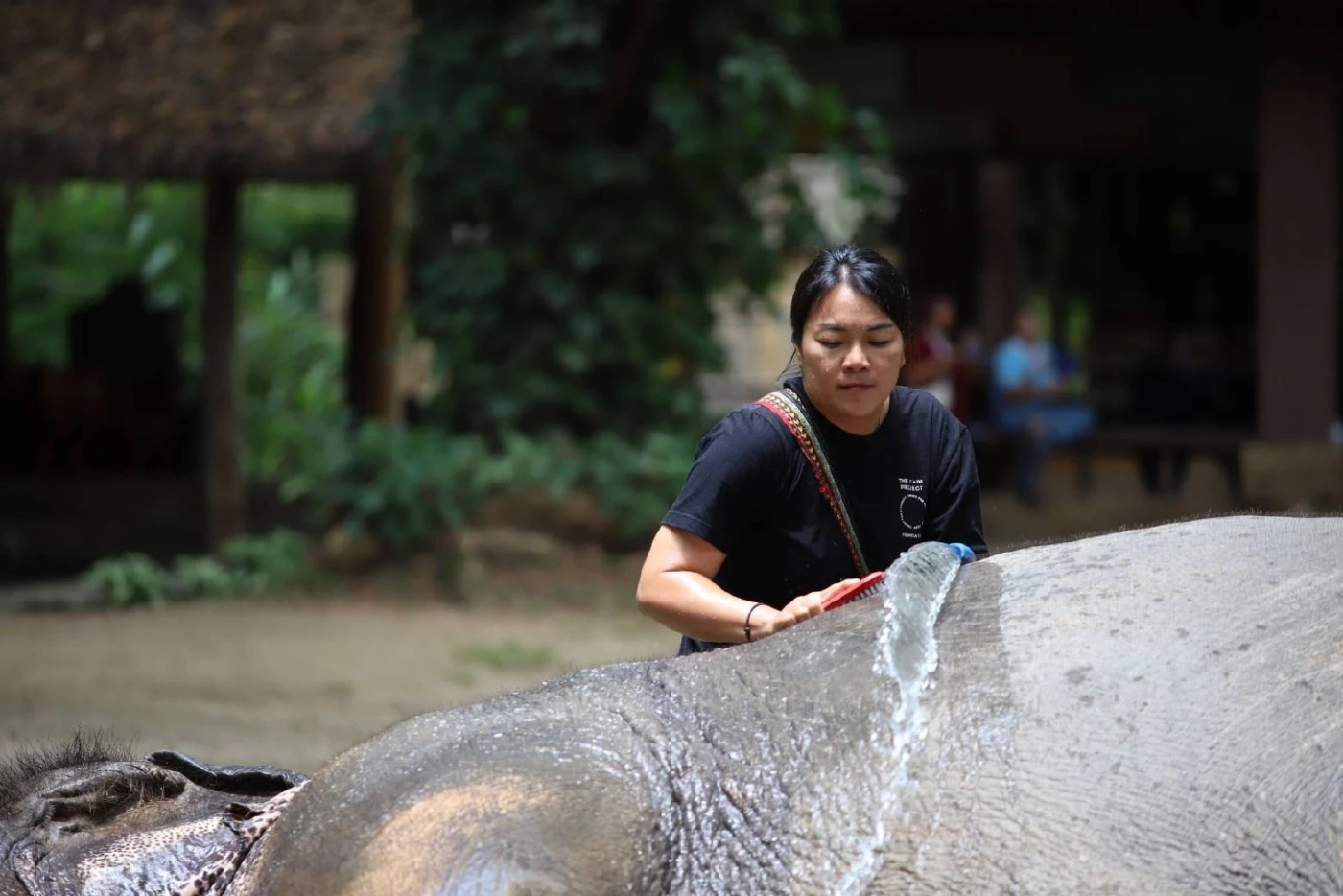 สคช. ปรับเกณฑ์รับรองคุณวุฒิ หนุน 1 ครอบครัว 1 Soft Power 