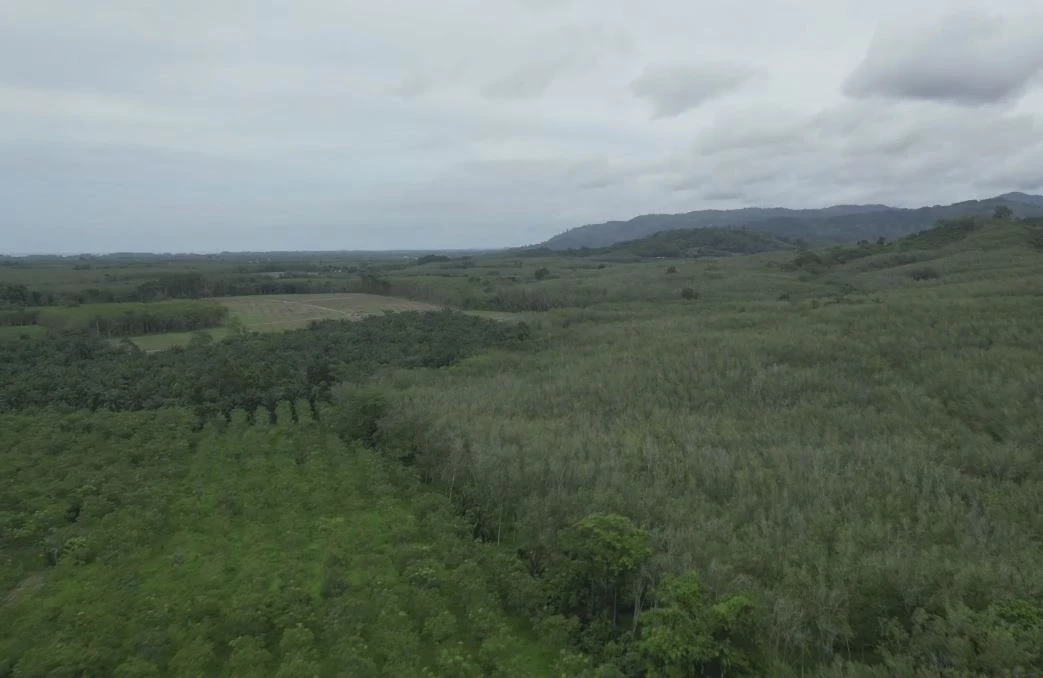 เตรียมต้อนรับนายกฯ ดูพื้นที่สร้าง "สนามบินอันดามัน" ที่โคกกลอย จ.พังงา