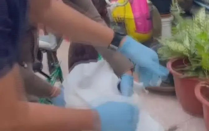 เจ้าหน้าที่ตรวจสอบภายในกระสอบปุ๋ยที่พบ