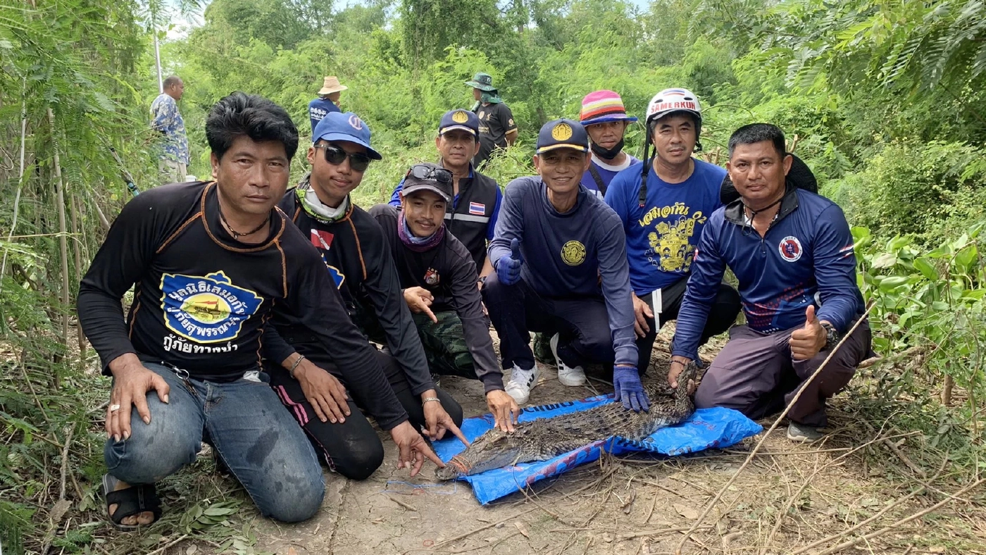 ปิดจ๊อบ ล่าไอ้เข้ จับได้ครบ 38 ตัว เจ้าของฟาร์มขอโทษสังคม พร้อมเลิกกิจการ