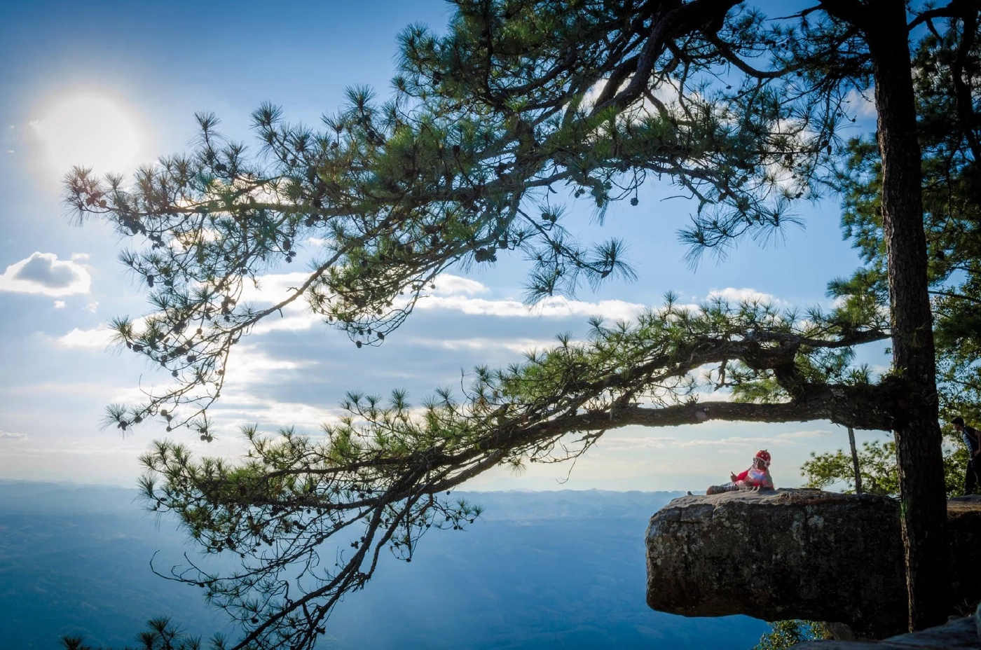 สายลุยเตรียมตัว 1 ตุลาคมนี้ "ภูกระดึง" เปิดฤดูกาลท่องเที่ยว