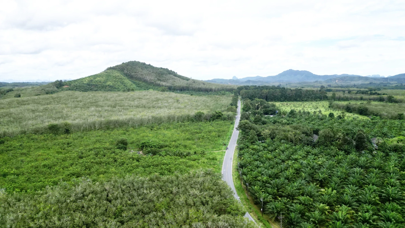 เตรียมต้อนรับนายกฯ ดูพื้นที่สร้าง "สนามบินอันดามัน" ที่โคกกลอย จ.พังงา