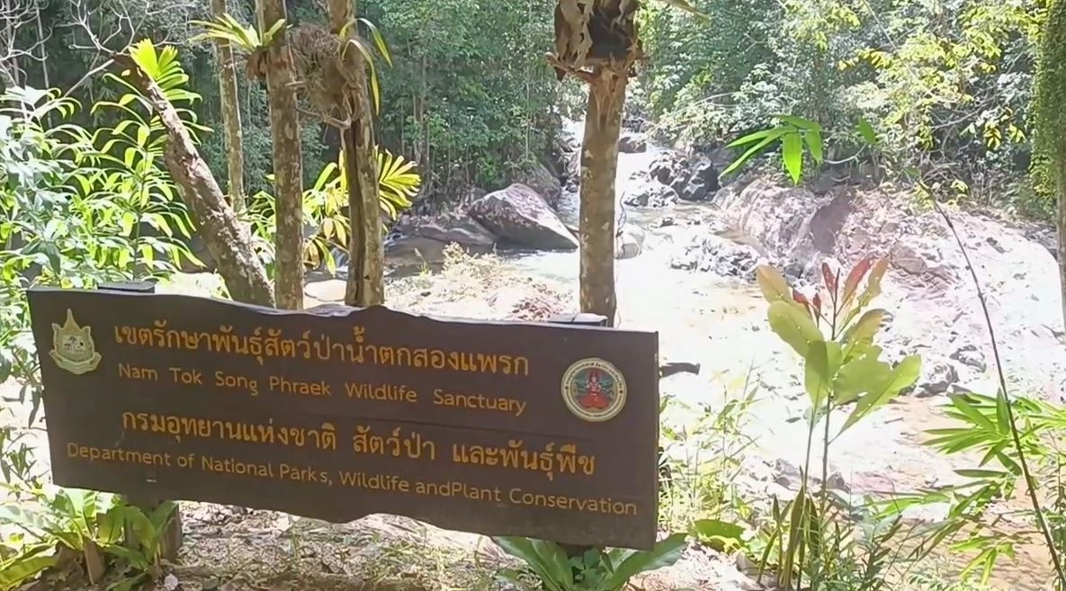 นทท.ต่างชาติชื่นชอบ "น้ำตกสองแพรก" ลงเล่นน้ำสนุกสนาน