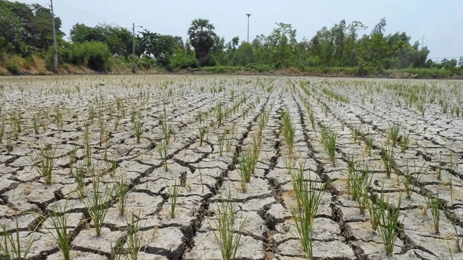 สศก. เผย “แผนเกษตรรับมือการเปลี่ยนแปลงสภาพภูมิอากาศ” ประกาศใช้ปลายปี