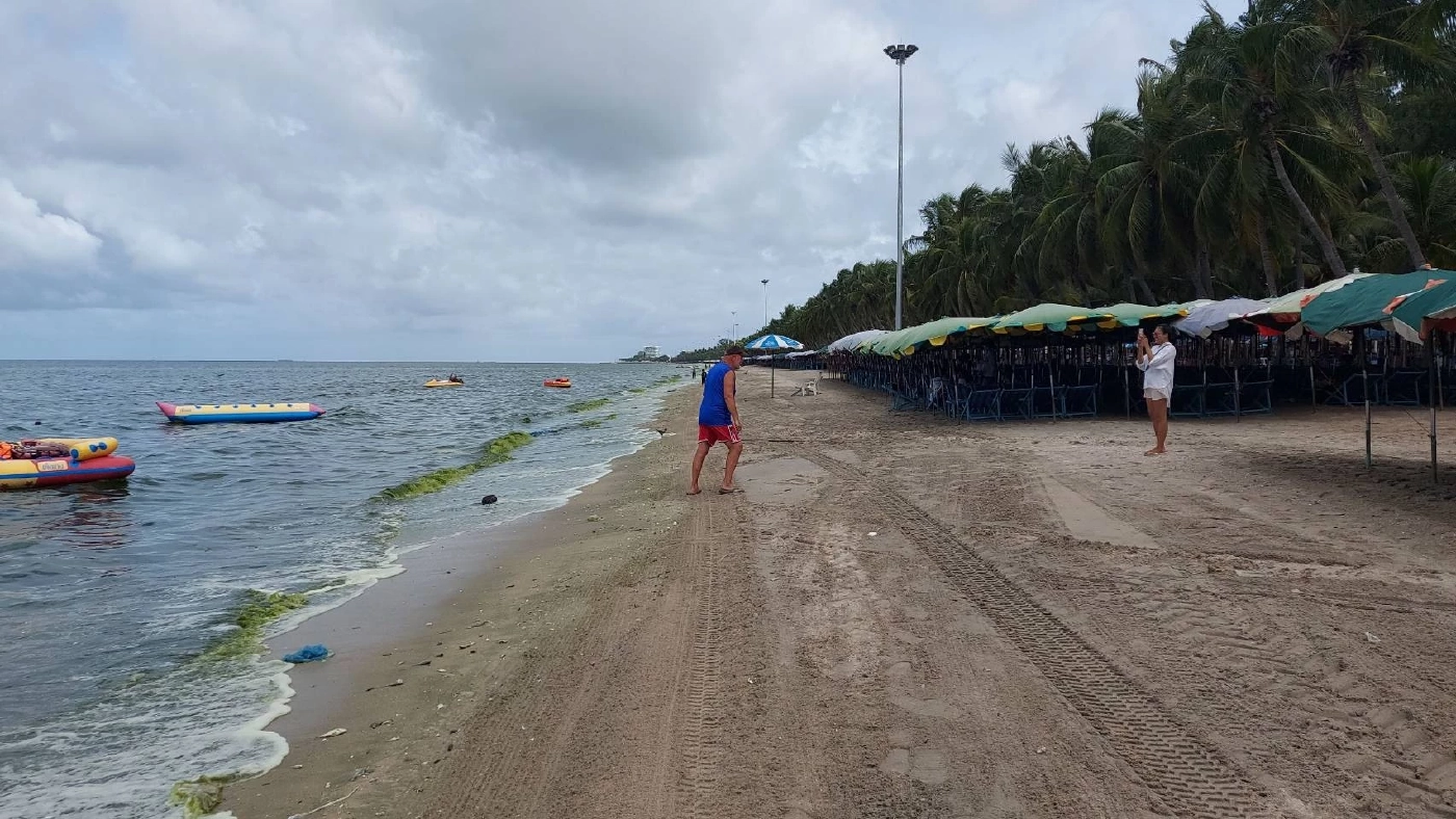 "ทะเลบางแสน" กลายเป็น "สีชาเขียวมัทฉะ" อีกแล้ว หลังฝนตกติดต่อกันหลายวัน