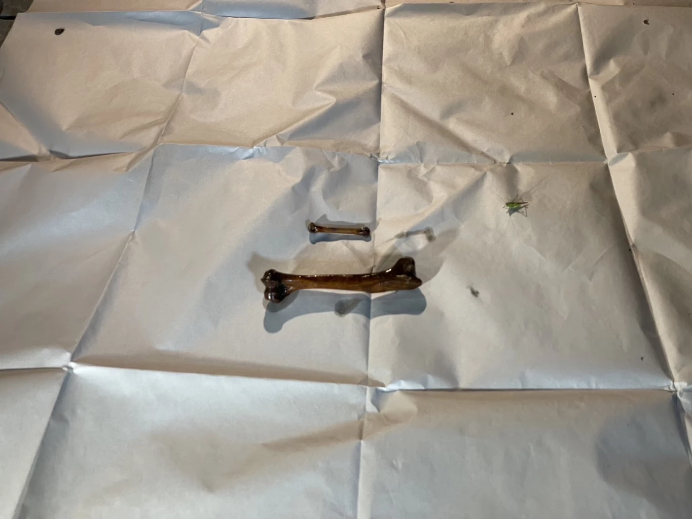 ตร.คุมแม่เด็ก 2 ขวบ ที่ร่วมกับพ่อฆ่าโบกปูน สอบเครียด เจ้าตัวได้แต่ส่ายหน้า