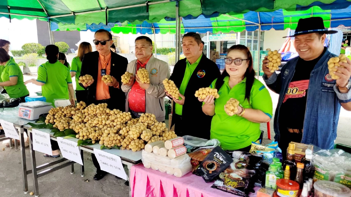 สหกรณ์วัดจันทร์ นำลองกองแดนใต้ จ.ยะลา เกรดพรีเมียม มาขายช่วยเกษตรกรครั้งที่ 2