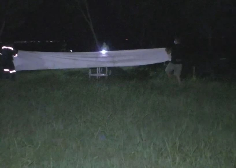 ว้าวุ่นเลยทีนี้! 11 หมูป่าป่วน กู้ภัยไล่จับทุลักทุเลกว่า 7 ชม. (มีคลิป)