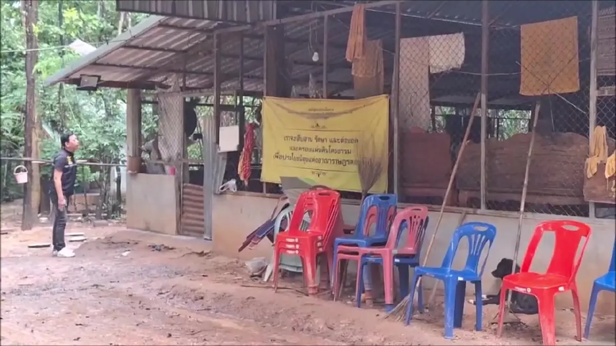 เจอตัวแล้ว "หลวงตาซาดิสม์" ดอดปรึกษาพระผู้ใหญ่ ยันไม่ได้อนาจารเด็กสาว
