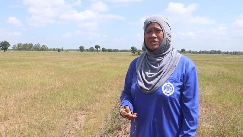 นางน้ำผึ้ง กะโห้ ชาวนา ต.หนองพระ อ.วังทรายพูน 