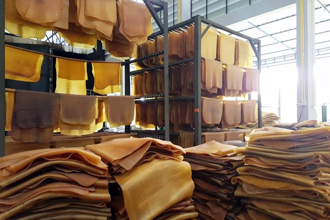 ชาวสวนยางพร้อมรับมือกฎเหล็ก EUDR  กยท. ย้ำโอกาสทองขยายตลาดของไทย