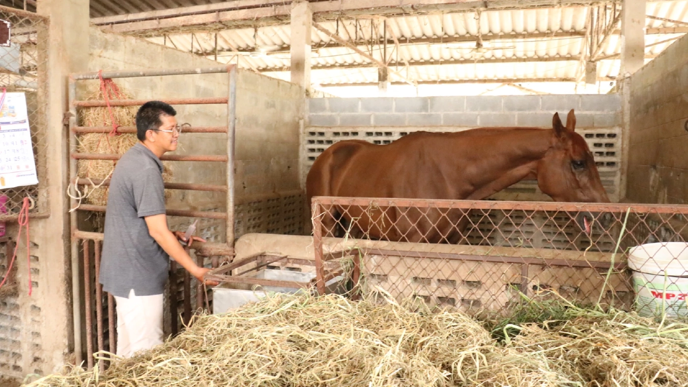 คอกม้าโคราช ยื่นหนังสือถึงผู้ว่าฯ ขออนุญาตจัดแข่งม้า หลังสนามถูกปิดกว่า 3 ปี