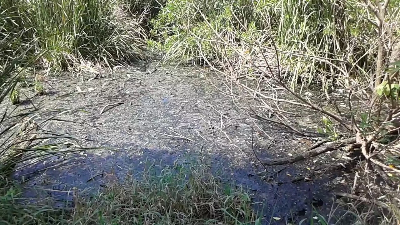 น้ำเสียคือพลังงาน เปลี่ยนภัยสิ่งแวดล้อม เป็นพลังกู้โลกร้อน