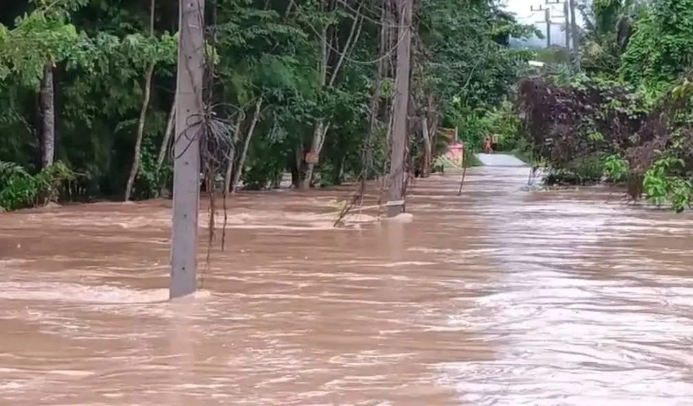 น้ำป่าทะลัก ท่วมอุโมงค์เชื่อมผืนป่าดงพญาเย็น! สั่งปิดด่วน ถนนสาย 304