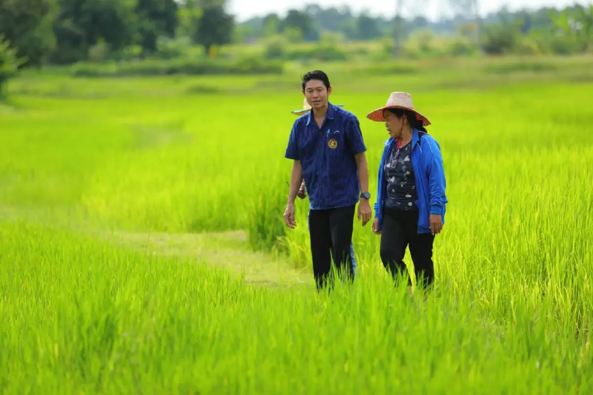 กรมการข้าว เร่งชวนชาวนา เข้าร่วมโครงการส่งเสริมการเปลี่ยนเมล็ดพันธุ์ข้าว