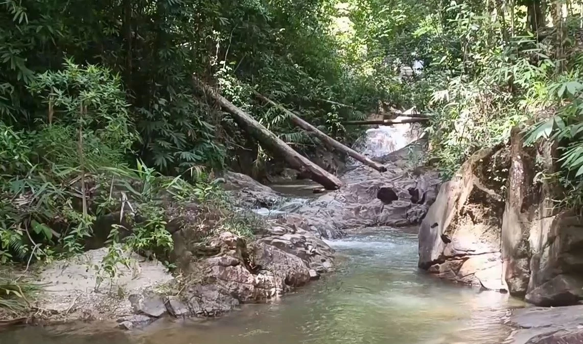 นทท.ต่างชาติชื่นชอบ "น้ำตกสองแพรก" ลงเล่นน้ำสนุกสนาน