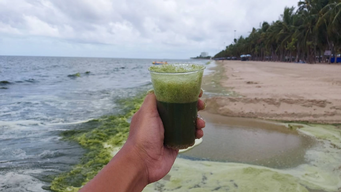 "ทะเลบางแสน" กลายเป็น "สีชาเขียวมัทฉะ" อีกแล้ว หลังฝนตกติดต่อกันหลายวัน