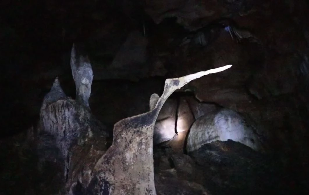 ตื่นตา! พาชมถ้ำสีสันสวยงาม และหินแปลกคล้ายหัว "นกกระเรียน" ที่เกาะสะอัง (คลิป)