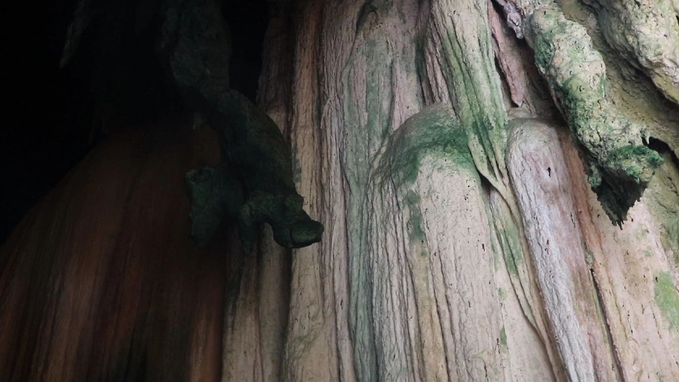 ตื่นตา! พาชมถ้ำสีสันสวยงาม และหินแปลกคล้ายหัว "นกกระเรียน" ที่เกาะสะอัง (คลิป)