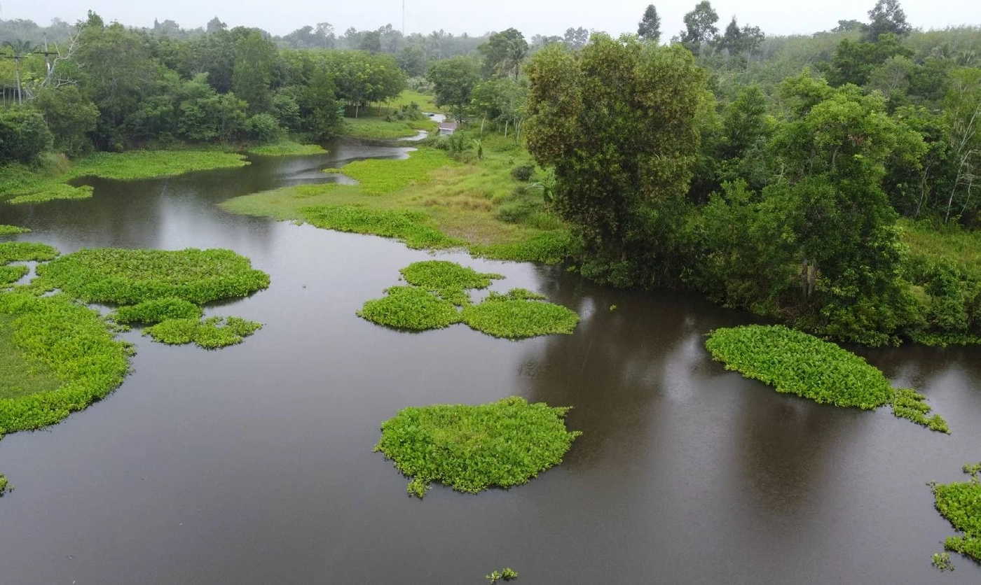 หนีไม่รอด! จับได้แล้ว จระเข้ไล่งับชาวบ้านออกหาปลา จ.พัทลุง