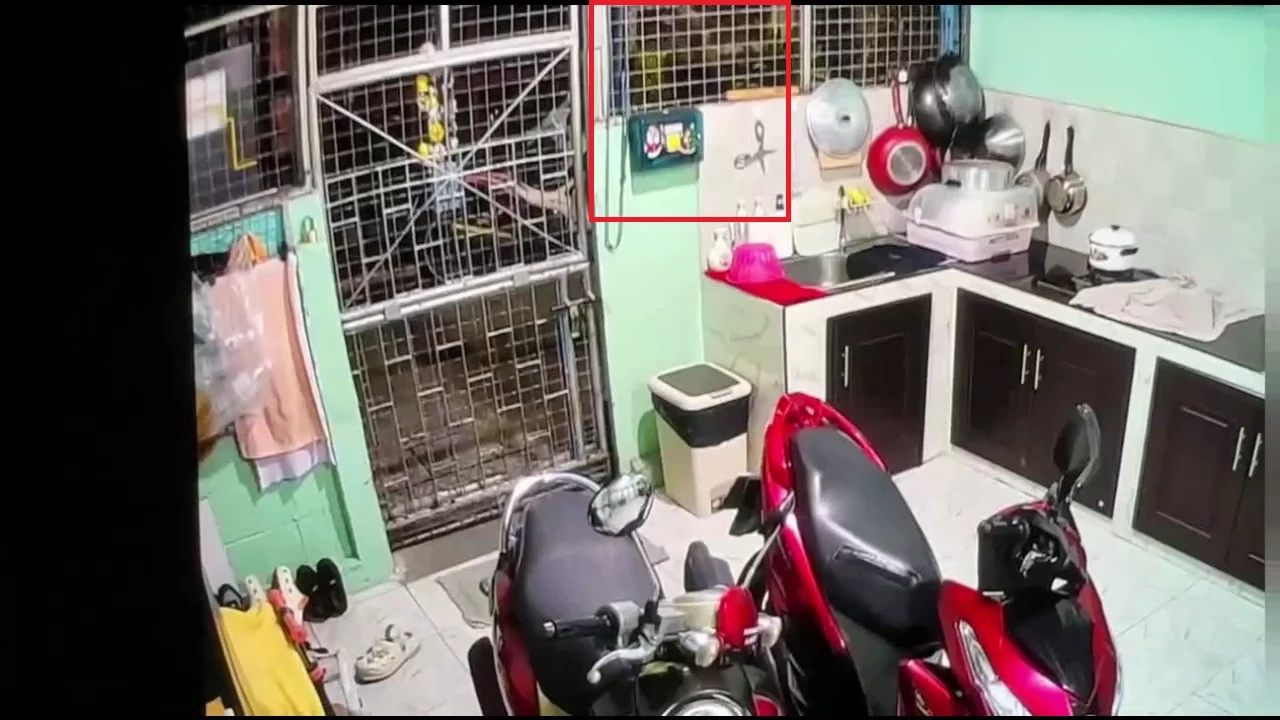 หนุ่มคลั่งขโมยตัดกัญชา ชักมีดจะแทงเมียท้อง 8 เดือนที่มาพบ ผัวขวางถูกแทงดับ