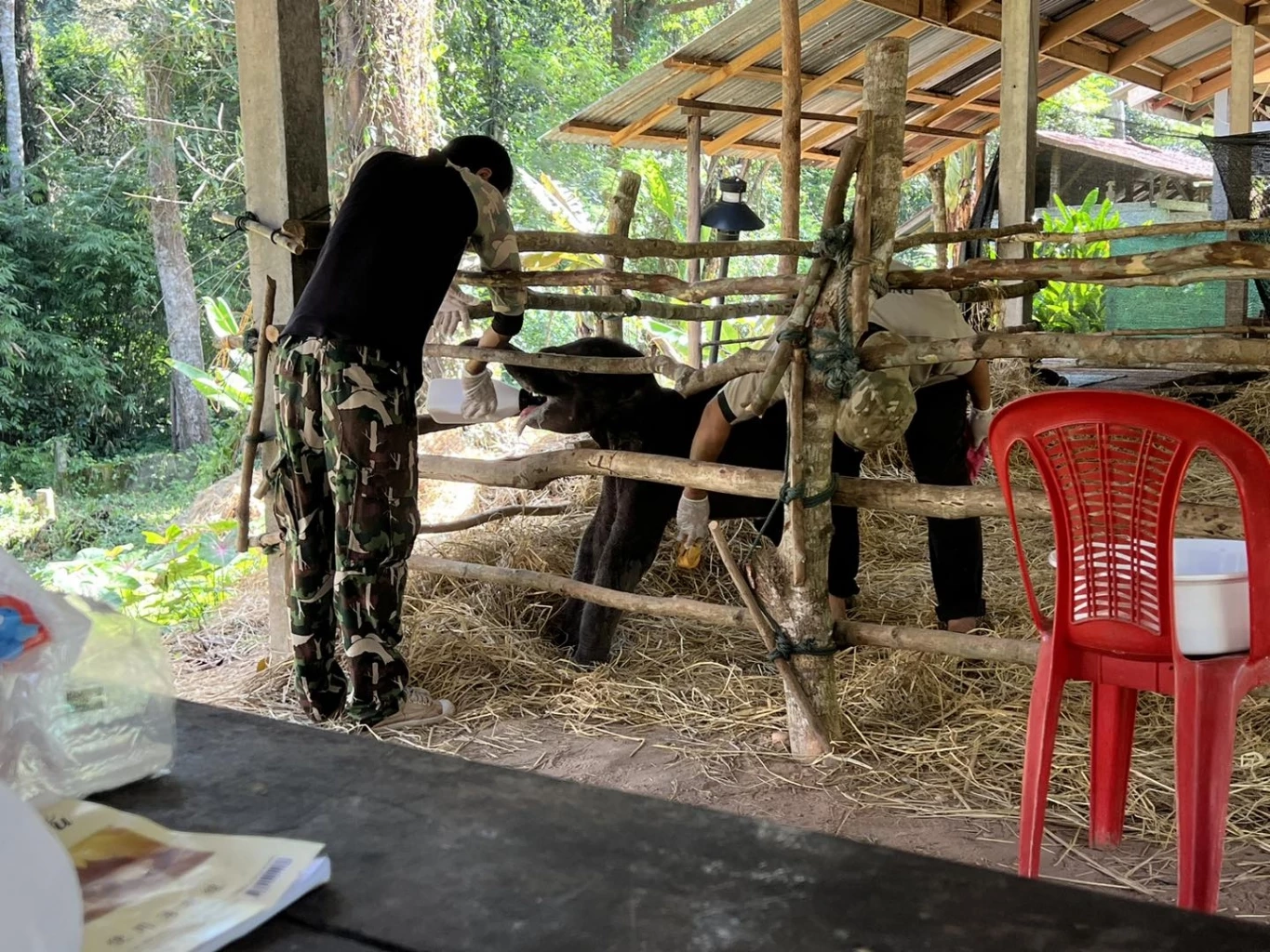 ภาพโดยเขตรักษาพันธุ์สัตว์ป่าภูวัว