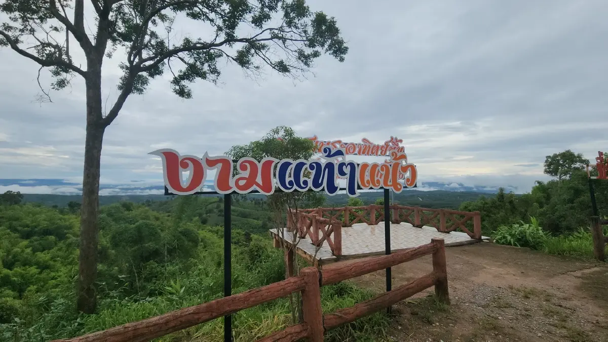 ชมทะเลหมอก สัมผัสอากาศเย็น หลังฝนตก ที่ภูค้อน้อย-ภูเก้าง้อม จ.เลย