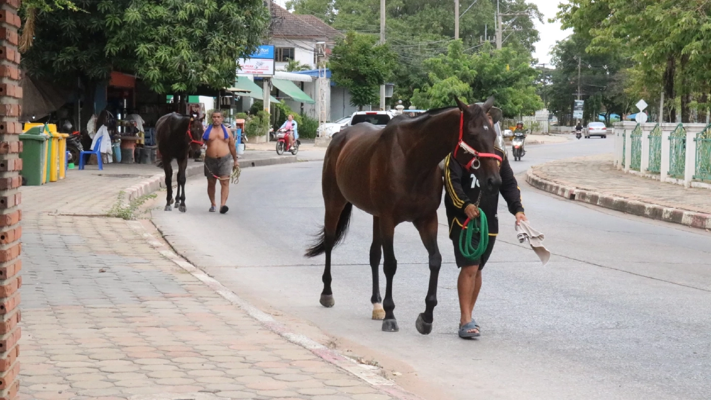 คอกม้าโคราช ยื่นหนังสือถึงผู้ว่าฯ ขออนุญาตจัดแข่งม้า หลังสนามถูกปิดกว่า 3 ปี