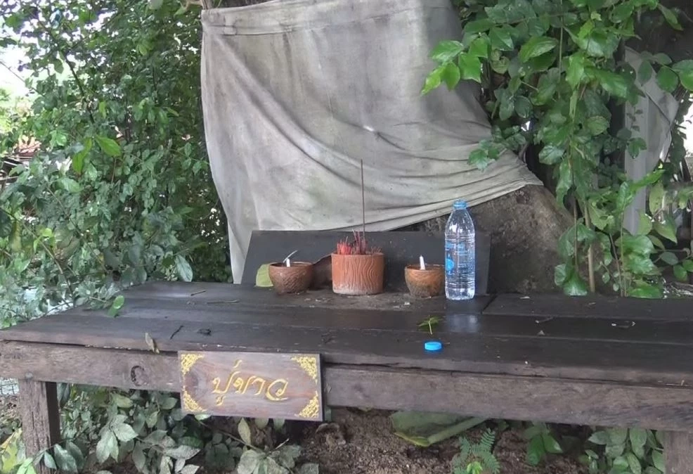 พบ "เห็ด" โผล่กระบะท้ายรถชาวบ้าน เจ้าของแปลกใจ-นำเลขทะเบียนเสี่ยงโชค