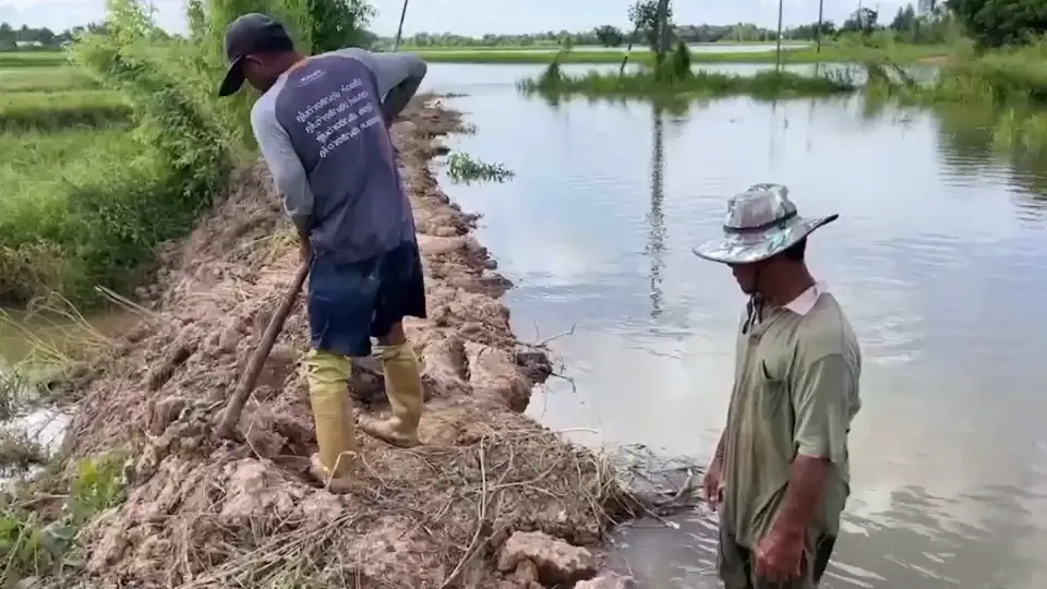 ​ถนนริมพนังแม่น้ำชีขาด มวลน้ำไหลท่วมพื้นที่การเกษตรกว่า 5,000 ไร่