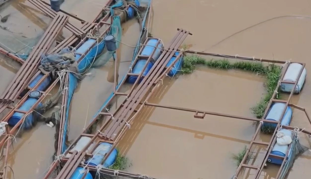 "น้ำน่าน" ไหลเชี่ยว พัดกระชังปลาหลุด ไหลตามน้ำ เสียหายนับล้าน