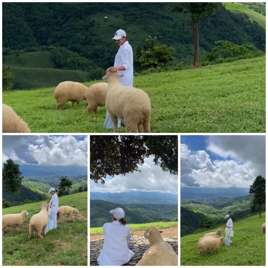 ปลายฝนต้นหนาวชวนเที่ยว "เชียงราย" มาตามนี้มุมถ่ายรูปเพียบ