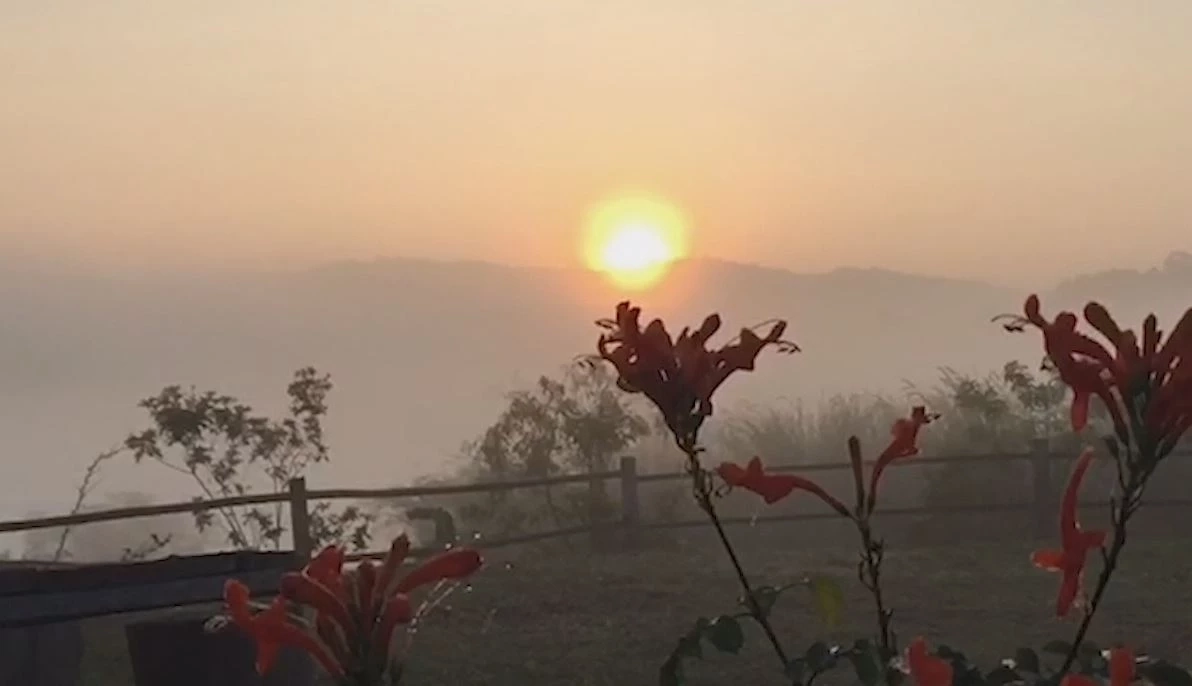 นทท.ขึ้นพิชิต "ภูสวนทราย" ชมทะเลหมอกยามเช้า สัมผัสอากาศเย็น ช่วงปลายฝนต้นหนาว