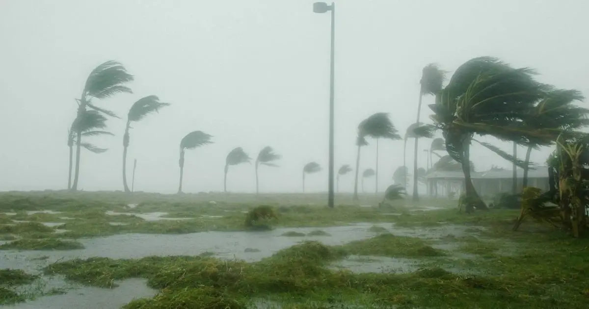 เตือน พรุ่งนี้ 4 ภาคจ่ออ่วม ฝนฟ้าคะนองร้อยละ 60-70 ฝนตกหนัก เช็กพิกัดเสี่ยงด่วน