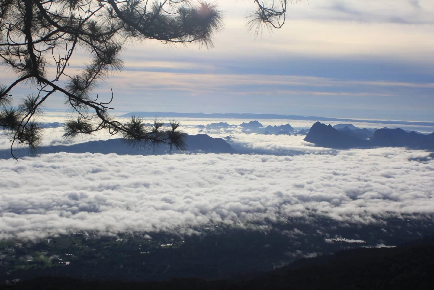 วันหยุดยาวคึกคัก! นักท่องเที่ยวแห่ขึ้นภูกระดึง ชมทะเลหมอกยามเช้า