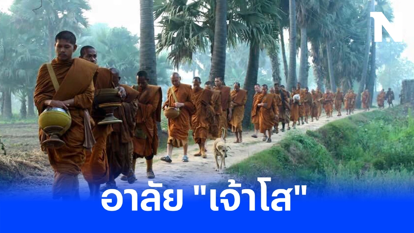 สุดเศร้า "เจ้าโส" สุนัขหัวใจพุทธ ลาลับกลับสู่ดาวหมา ในวัยเพียง 10 ปีเศษ