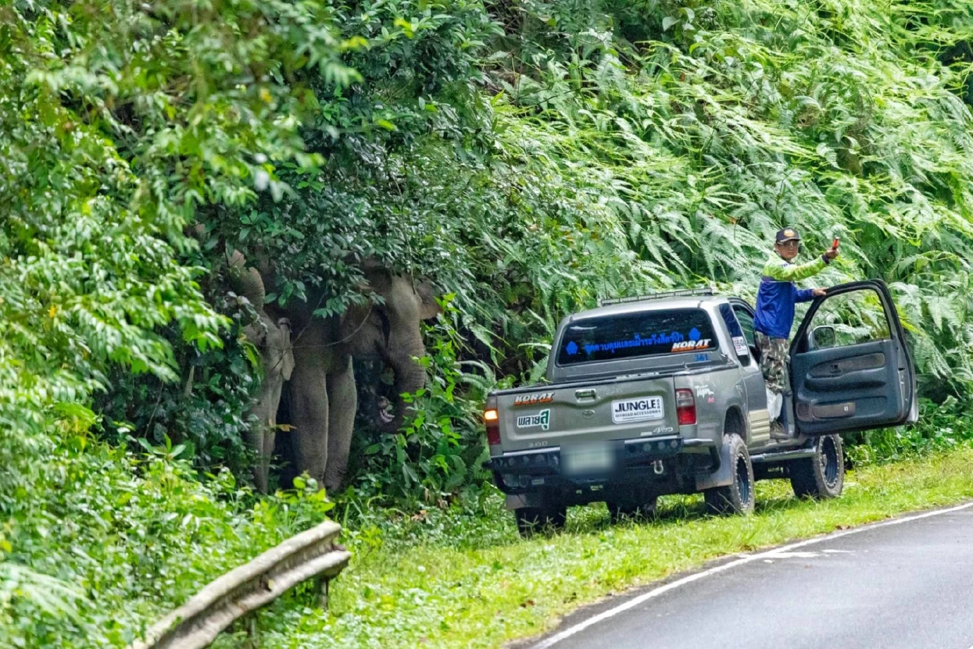 ข่าวดี! อช.เขาใหญ่ จ้าง "พี่สุทธิพร" มือปราบช้างป่า ทำงานต่อหลังเกษียณ