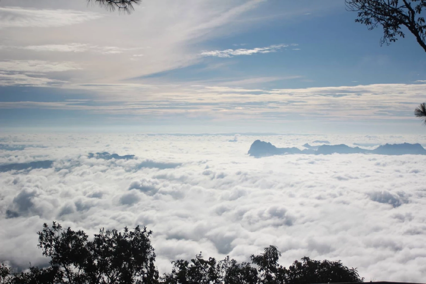 เปิดแล้ว! การท่องเที่ยว-พักค้างแรม บนยอด "ภูกระดึง" นทท.ขึ้นพิชิต สุดคึกคัก (คลิป)