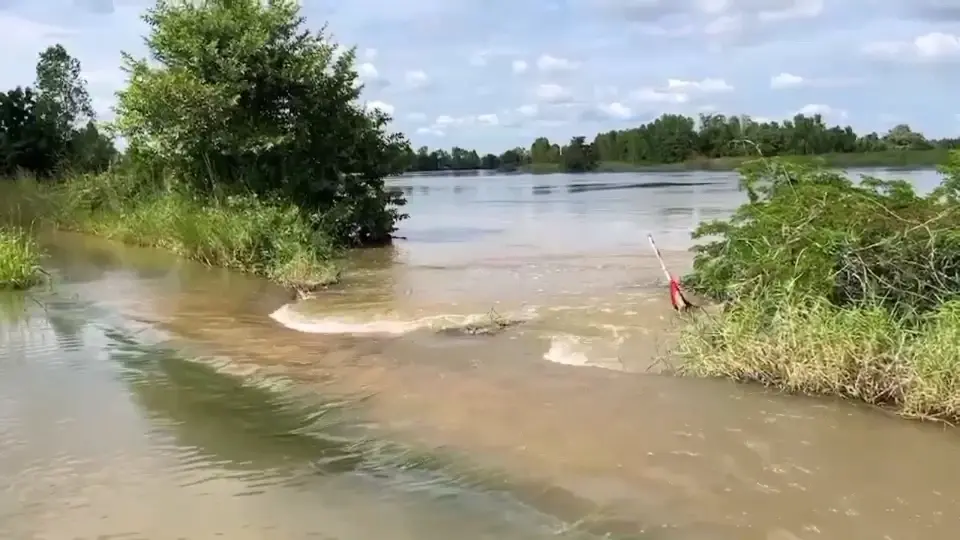 ​ถนนริมพนังแม่น้ำชีขาด มวลน้ำไหลท่วมพื้นที่การเกษตรกว่า 5,000 ไร่